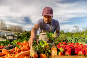 Farm Worker Jobs in the U.K.: Complete Guide to Securing Sponsored Positions – Apply Now