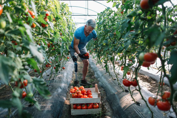 Farm Worker Jobs in the U.K.: Complete Guide to Securing Sponsored Positions – Apply Now Farm Worker Jobs in the U.K.: Complete Guide to Securing Sponsored Positions – Apply Now