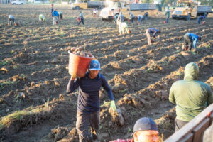 USA Jobs with Visa Sponsorship for Foreigners 2025